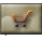Storm Store